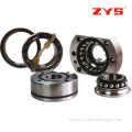China Manufacturer Zys Special Angular Contact Ball Bearing Unit